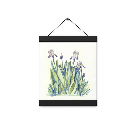 Many Iris on a Poster with hangers